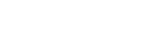 WayFast White Logo